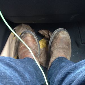 Meet your Posher, Dalton